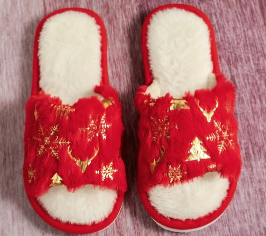 Beautiful Christmas Slippers